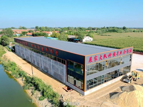 高密市大牟家鎮展家村黨支部領辦合作社 以垃圾經營服務撬動區域共富新路徑